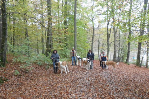01/11/13 Wandertag in Mosel