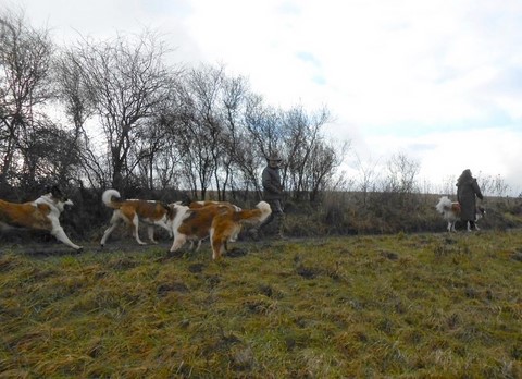 05/01/14 Spaziergang im Rheinland-Pfalz