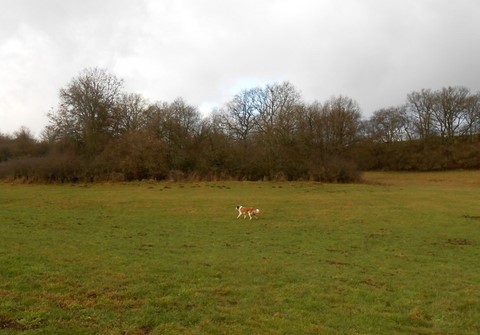 05/01/14 Spaziergang im Rheinland-Pfalz