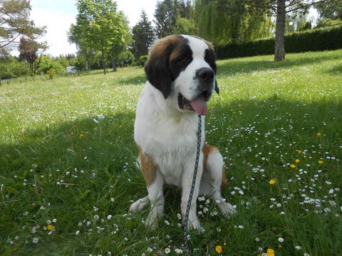 17.05.15 Spaziergang in Mosel