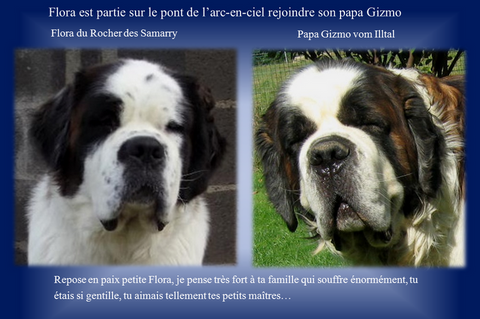 Flora & Gizmo