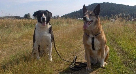 Samson & Leïka
