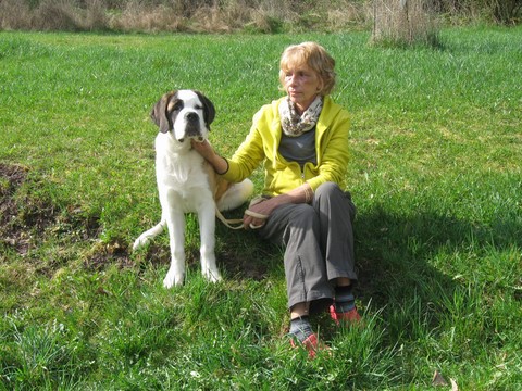 06.04.14 Spaziergang mit Bernhardinerklub