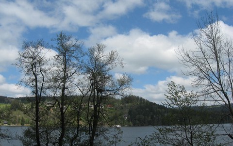04/05/14 Bernhardinertreffen zu Titisee 