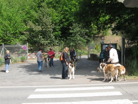 16.05.2011 Wandertag im Saarland