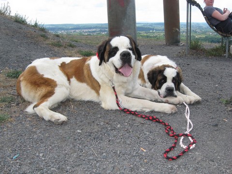 16.05.2011 Wandertag im Saarland