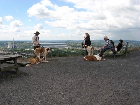16.05.2011 Wandertag im Saarland
