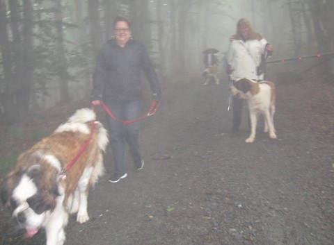 1 Juli 2012 Spaziergang im Saarland 
