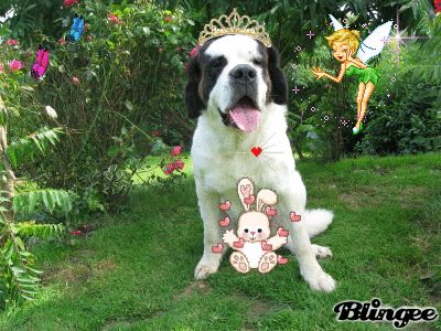 Xionara Vaya v.`t Beukeböschke