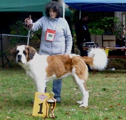 Licia des Montagnes Ensablées