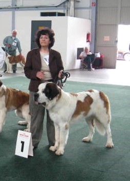 Xionara Vaya v.`t Beukeböschke