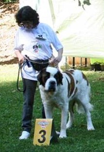 Oxana vom Siedlerhof