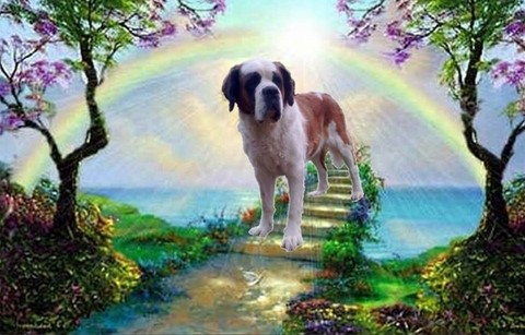 Licia des Montagnes Ensablées