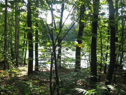 19.09.10 Spaziergang mit Freunden